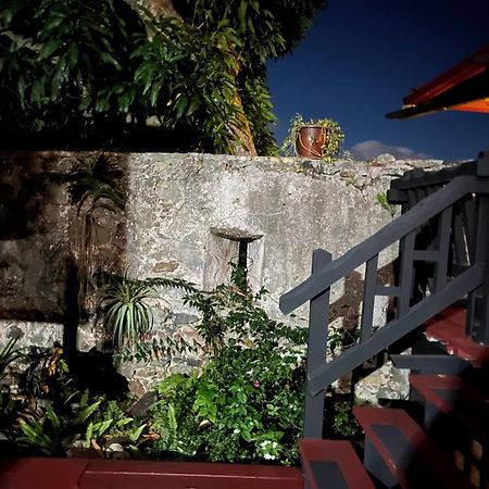 Contant Mid-Century: Caribbean Styleアパートメント エクステリア 写真