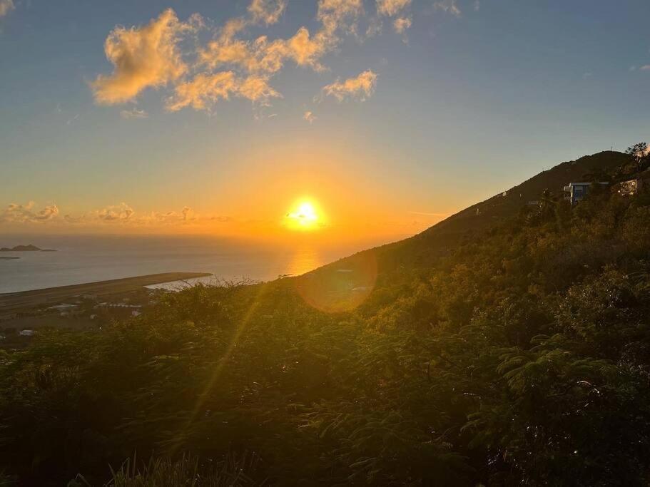 Contant Mid-Century: Caribbean Styleアパートメント エクステリア 写真