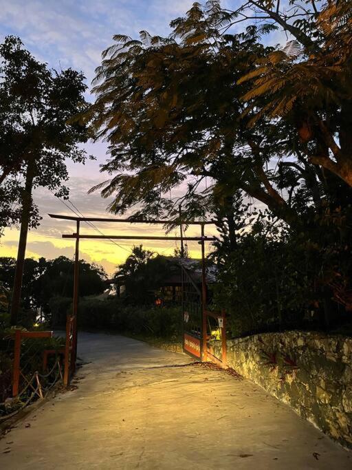 Contant Mid-Century: Caribbean Styleアパートメント エクステリア 写真