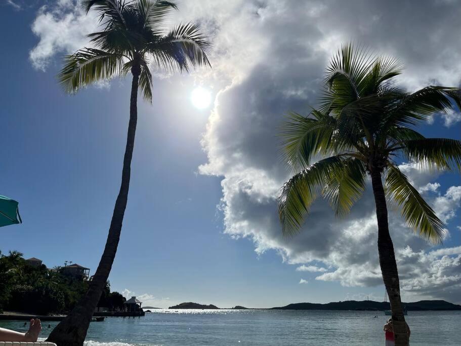 Contant Mid-Century: Caribbean Styleアパートメント エクステリア 写真