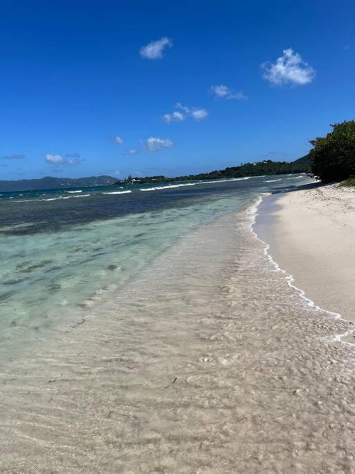 Contant Mid-Century: Caribbean Styleアパートメント エクステリア 写真