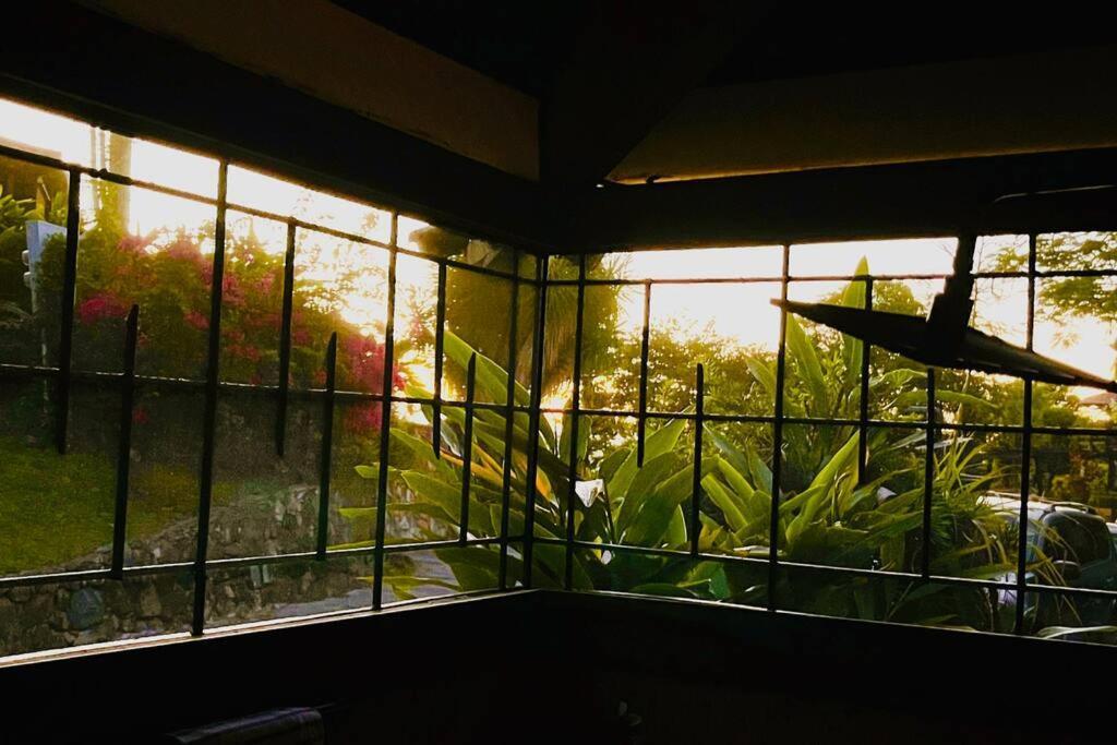 Contant Mid-Century: Caribbean Styleアパートメント エクステリア 写真