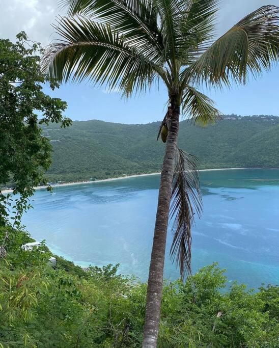 Contant Mid-Century: Caribbean Styleアパートメント エクステリア 写真
