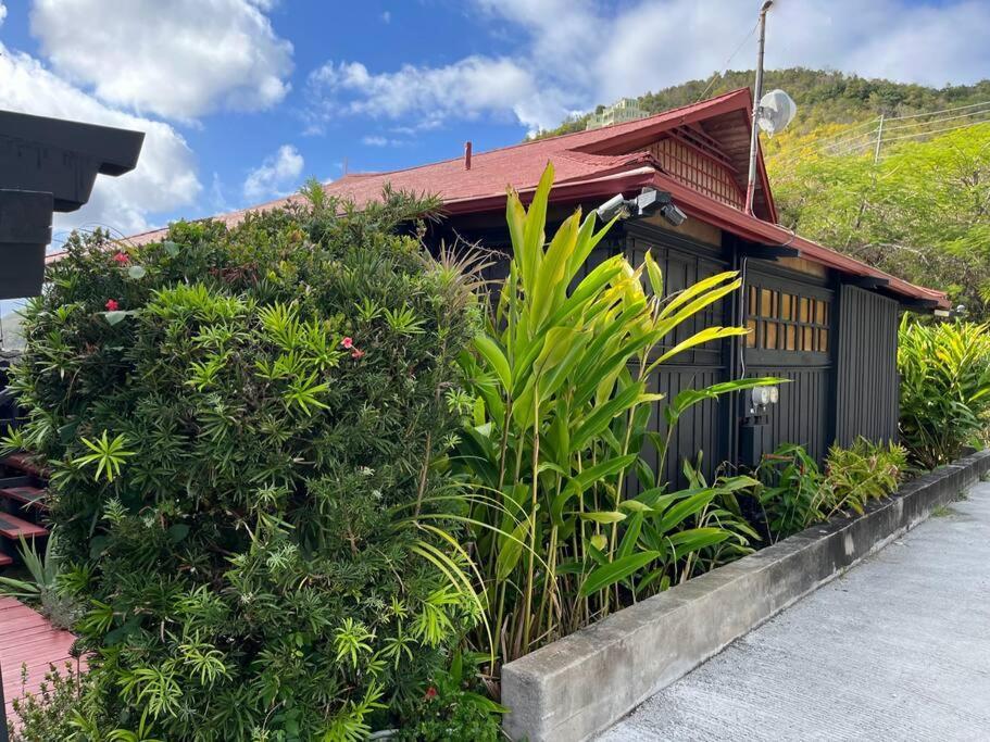 Contant Mid-Century: Caribbean Styleアパートメント エクステリア 写真