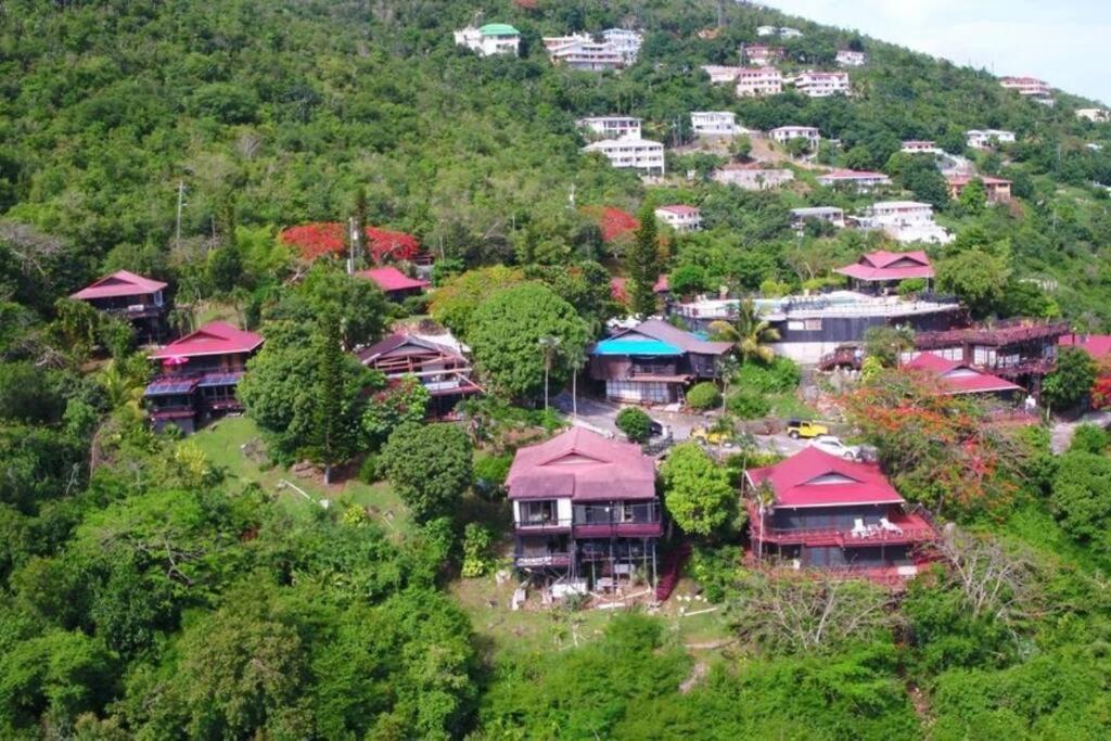 Contant Mid-Century: Caribbean Styleアパートメント エクステリア 写真