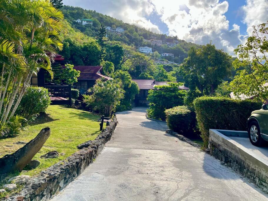 Contant Mid-Century: Caribbean Styleアパートメント エクステリア 写真