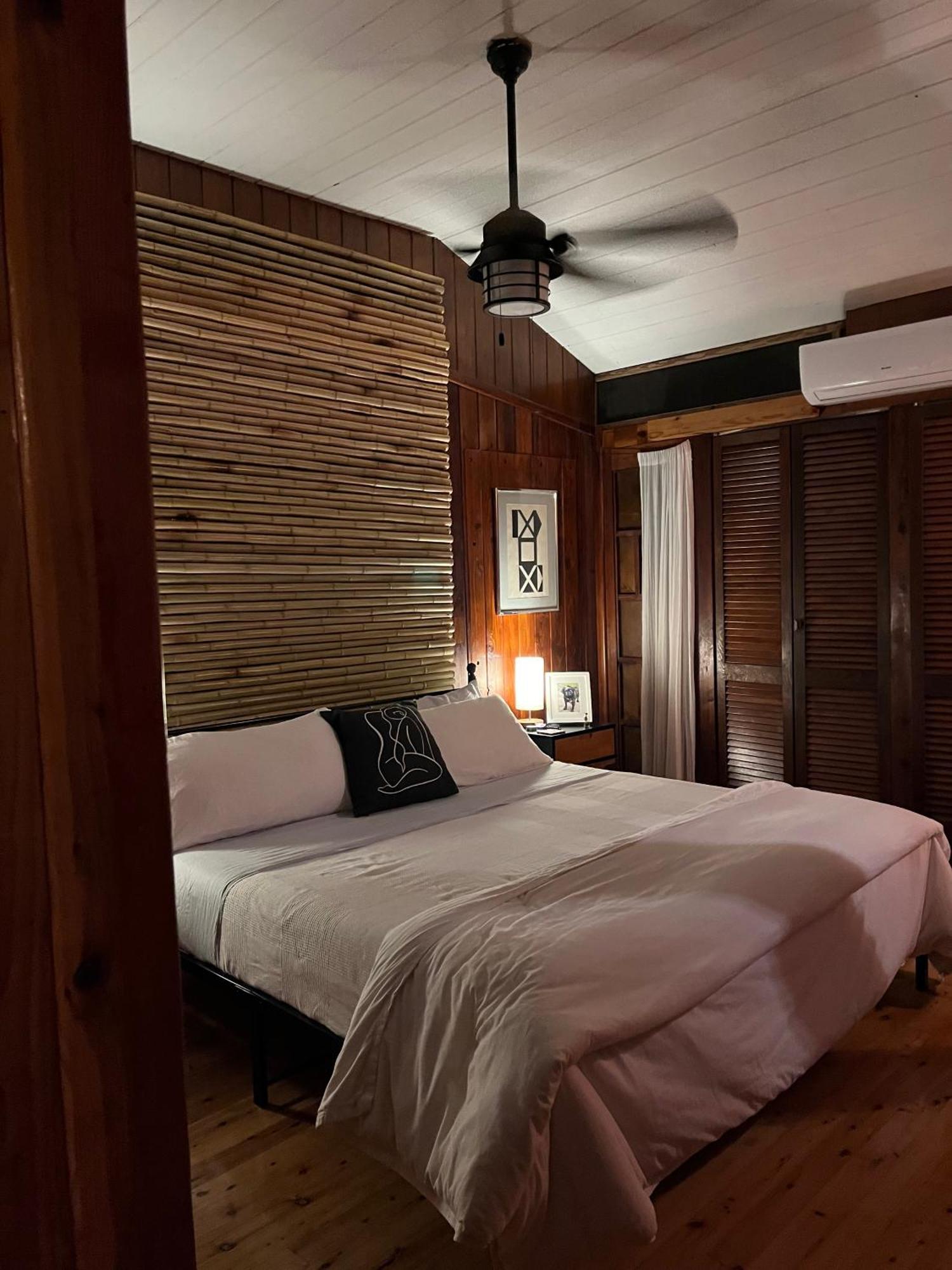 Contant Mid-Century: Caribbean Styleアパートメント エクステリア 写真