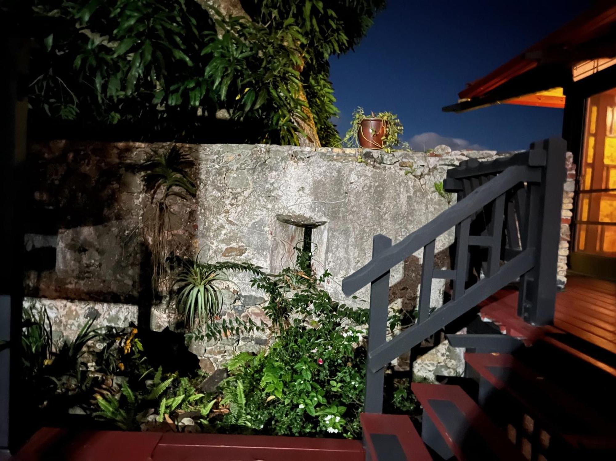 Contant Mid-Century: Caribbean Styleアパートメント エクステリア 写真